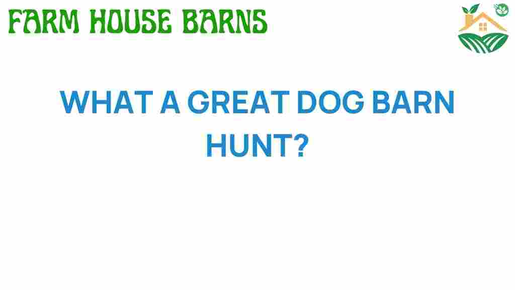 great-dog-barn-hunt