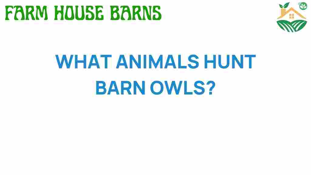 what-animals-hunt-barn-owls