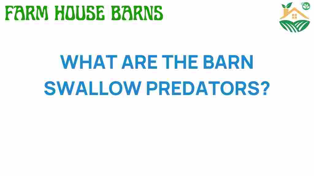 barn-swallow-predators