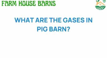Unveiling the Hidden Gases in Pig Barns: What You Need to Know