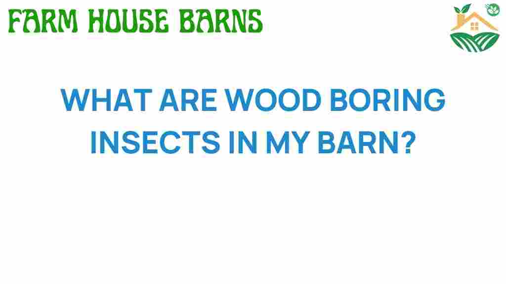 uncovering-wood-boring-insects-barn