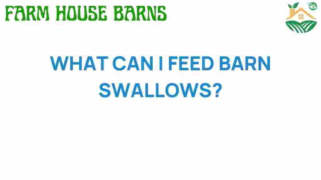what-can-i-feed-barn-swallows