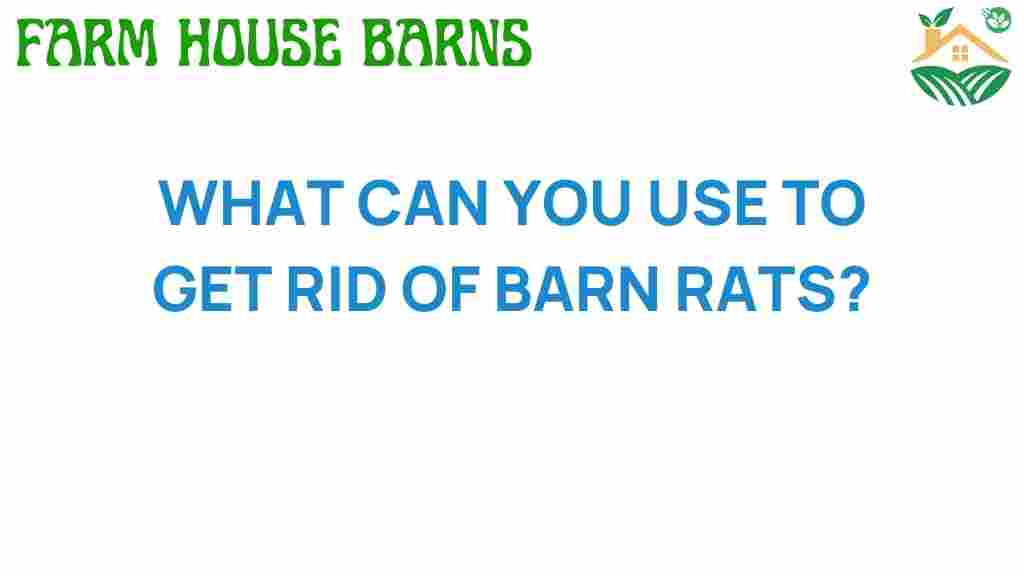 get-rid-of-barn-rats