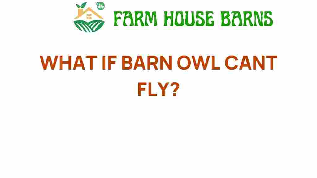 what-if-barn-owl-cant-fly