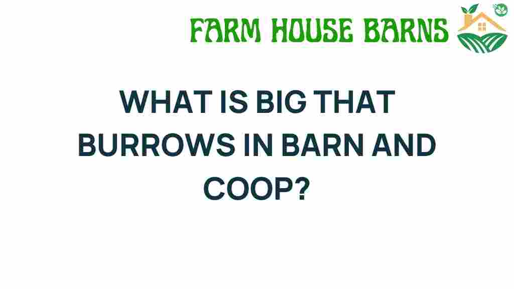 big-burrows-barns-coops