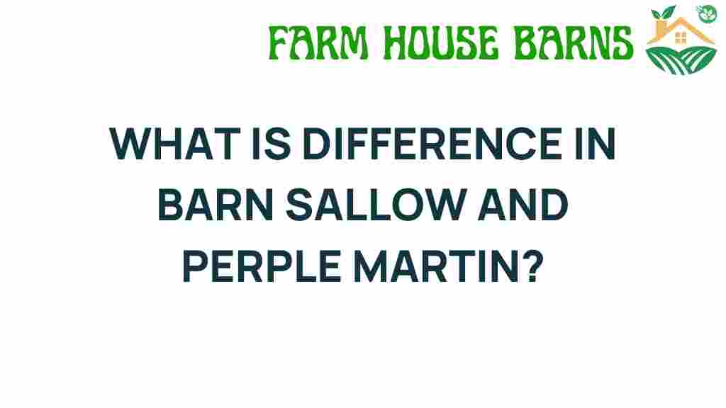 barn-sallow-purple-martin-differences