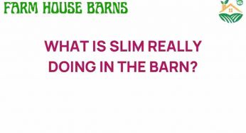 What Is Slim Really Doing in the Barn? Uncovering Secrets of Rural Life