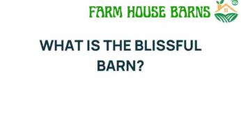 Discovering the Enchantment of the Blissful Barn Experience