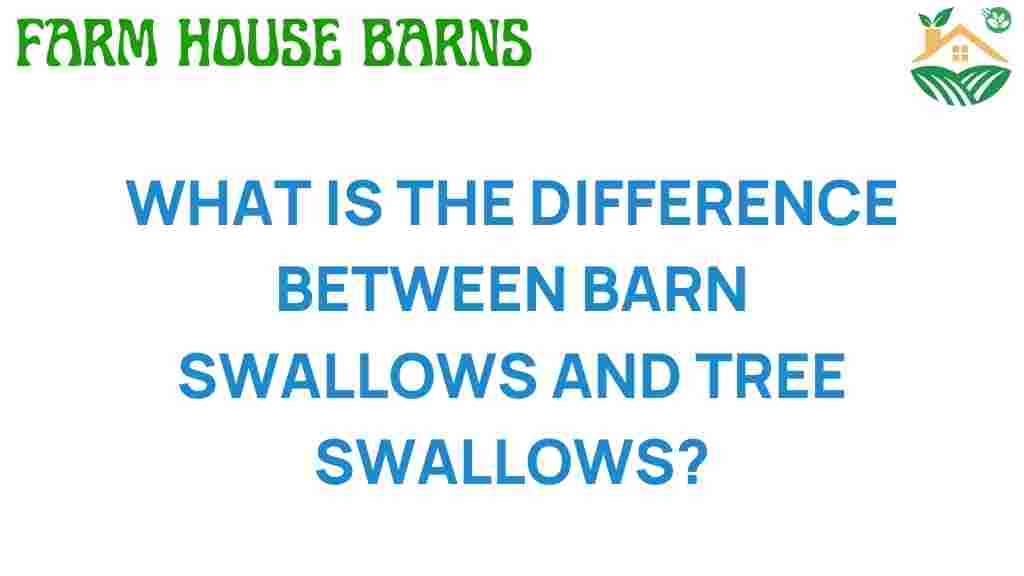 difference-between-barn-swallows-tree-swallows