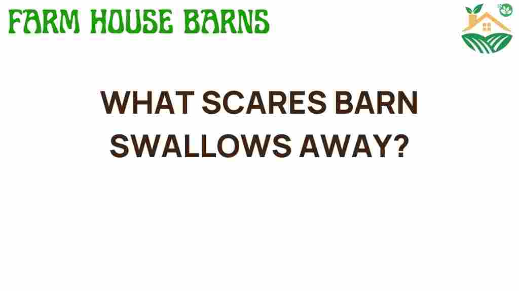 what-scares-barn-swallows-away
