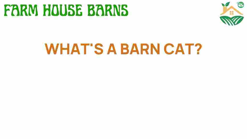 barn-cat-enigmatic-world
