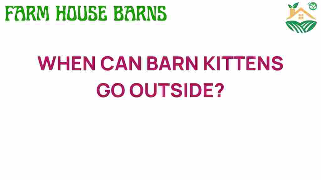 when-can-barn-kittens-go-outside