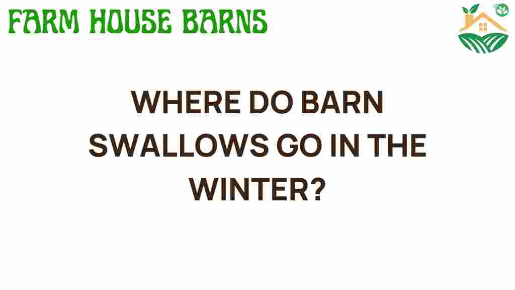 where-do-barn-swallows-go-in-the-winter