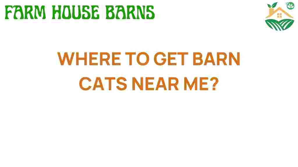 where-to-get-barn-cats-near-me
