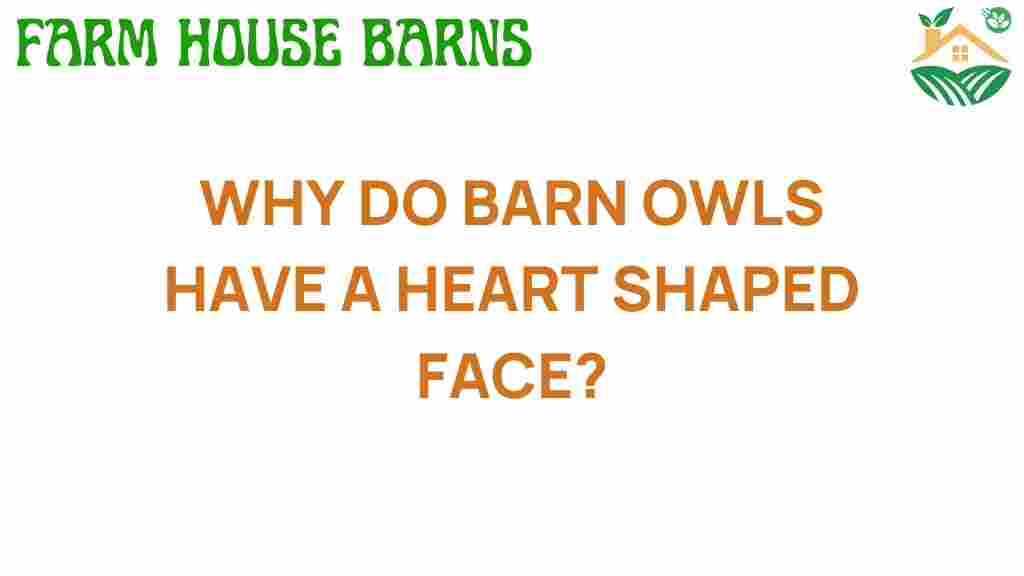 barn-owls-heart-shaped-face