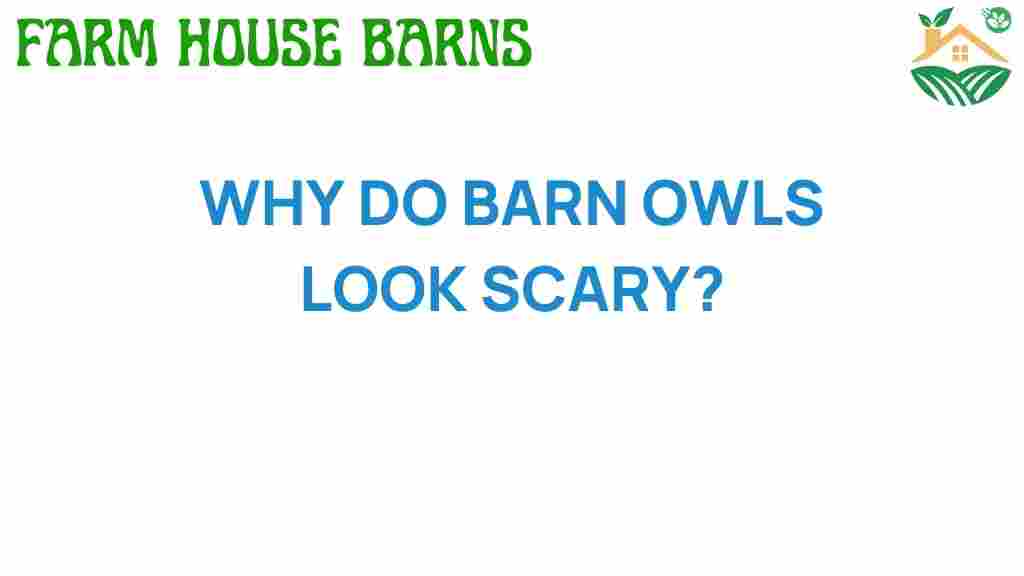 why-do-barn-owls-look-scary