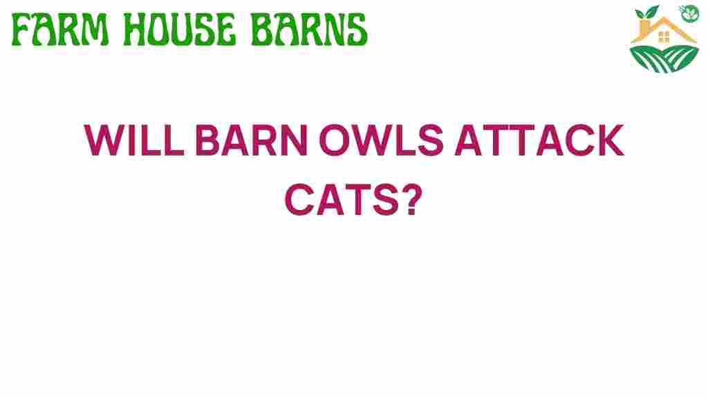 do-barn-owls-attack-cats