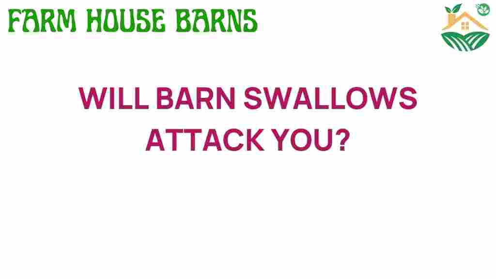 will-barn-swallows-attack-you